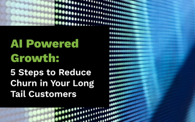 AI-Powered Growth: 5 Steps to Reduce Churn in Your Long-Tail Customers